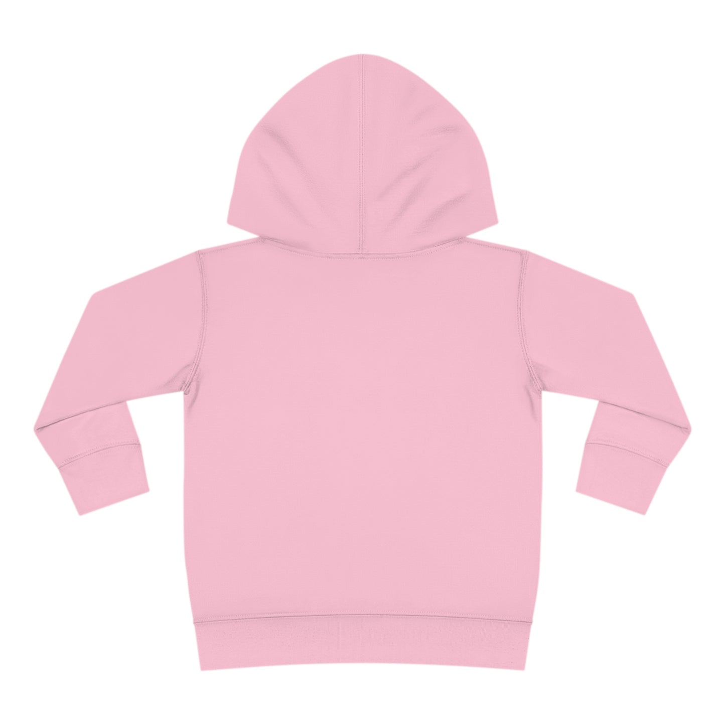 Long Island Toddler Hoodie