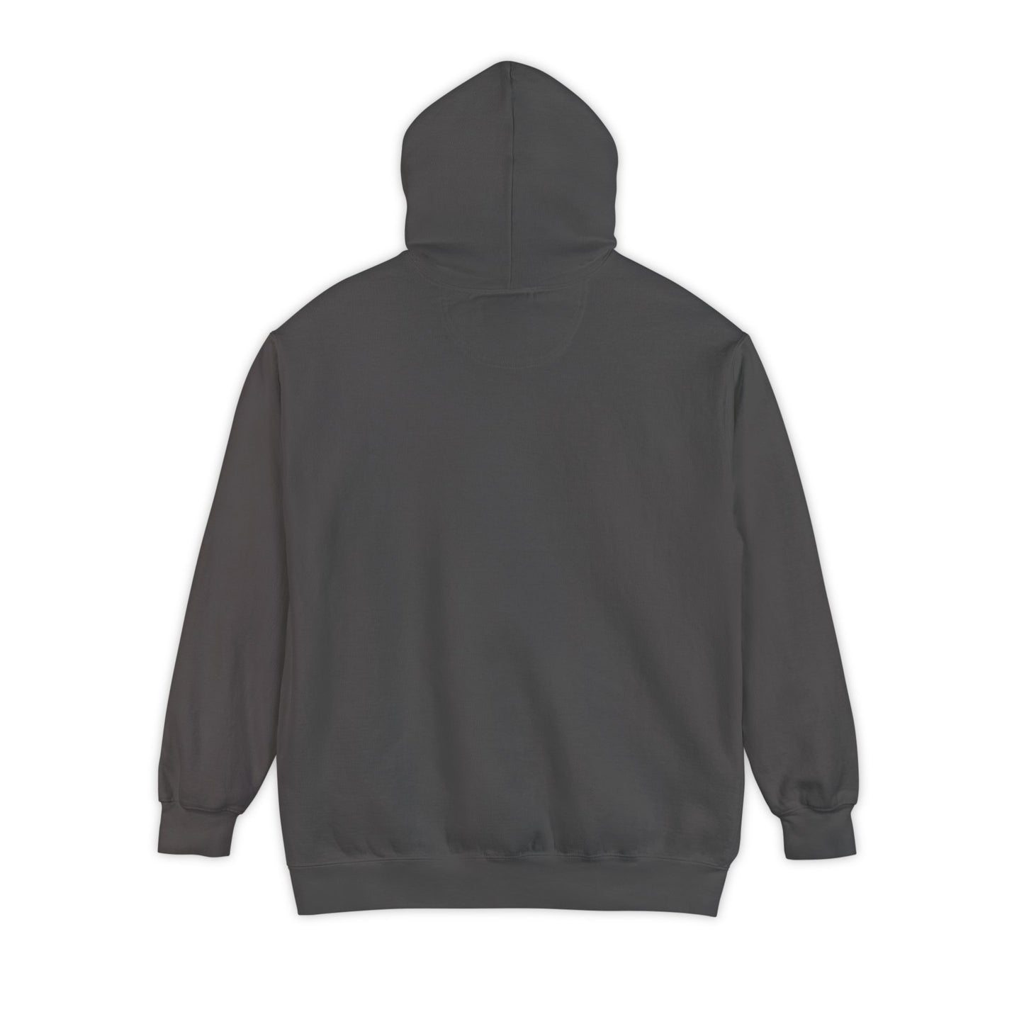 Long Island New York Graphic Hoodie
