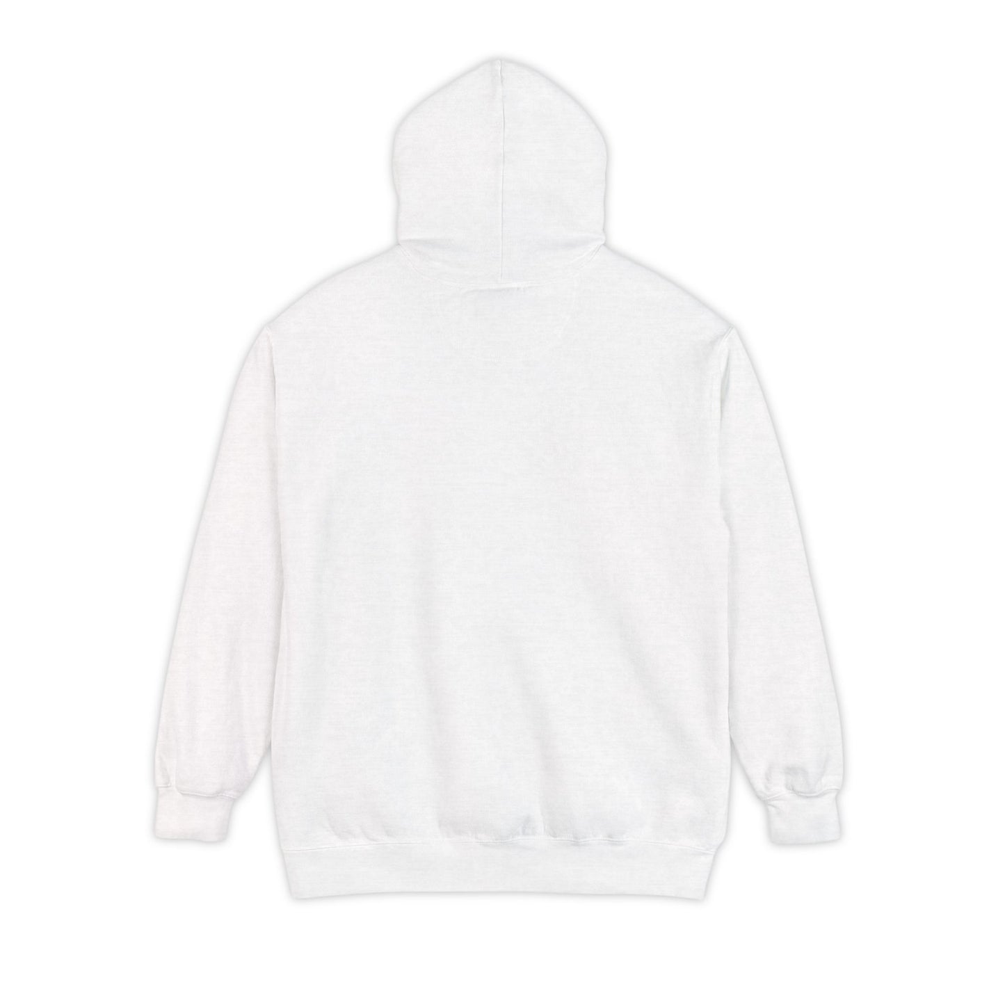 Long Island New York Graphic Hoodie