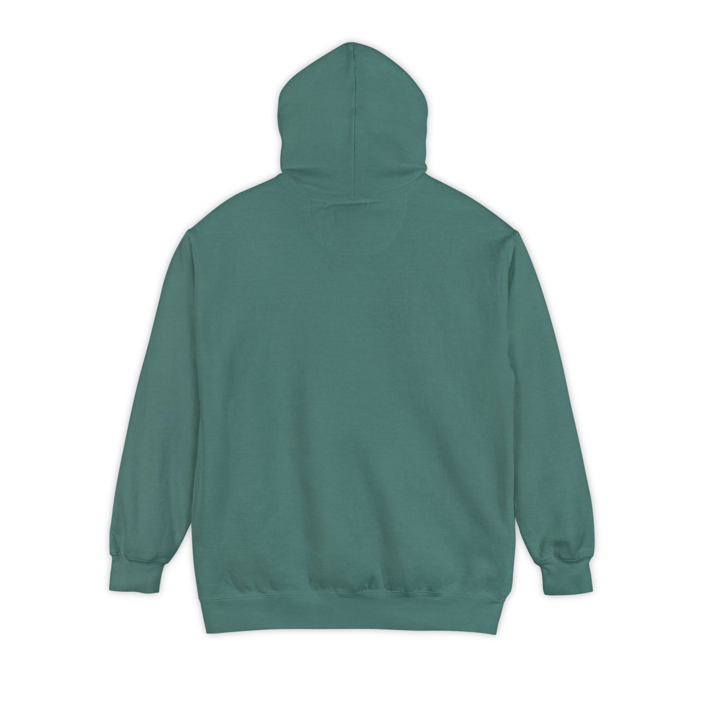 Long Island New York Graphic Hoodie