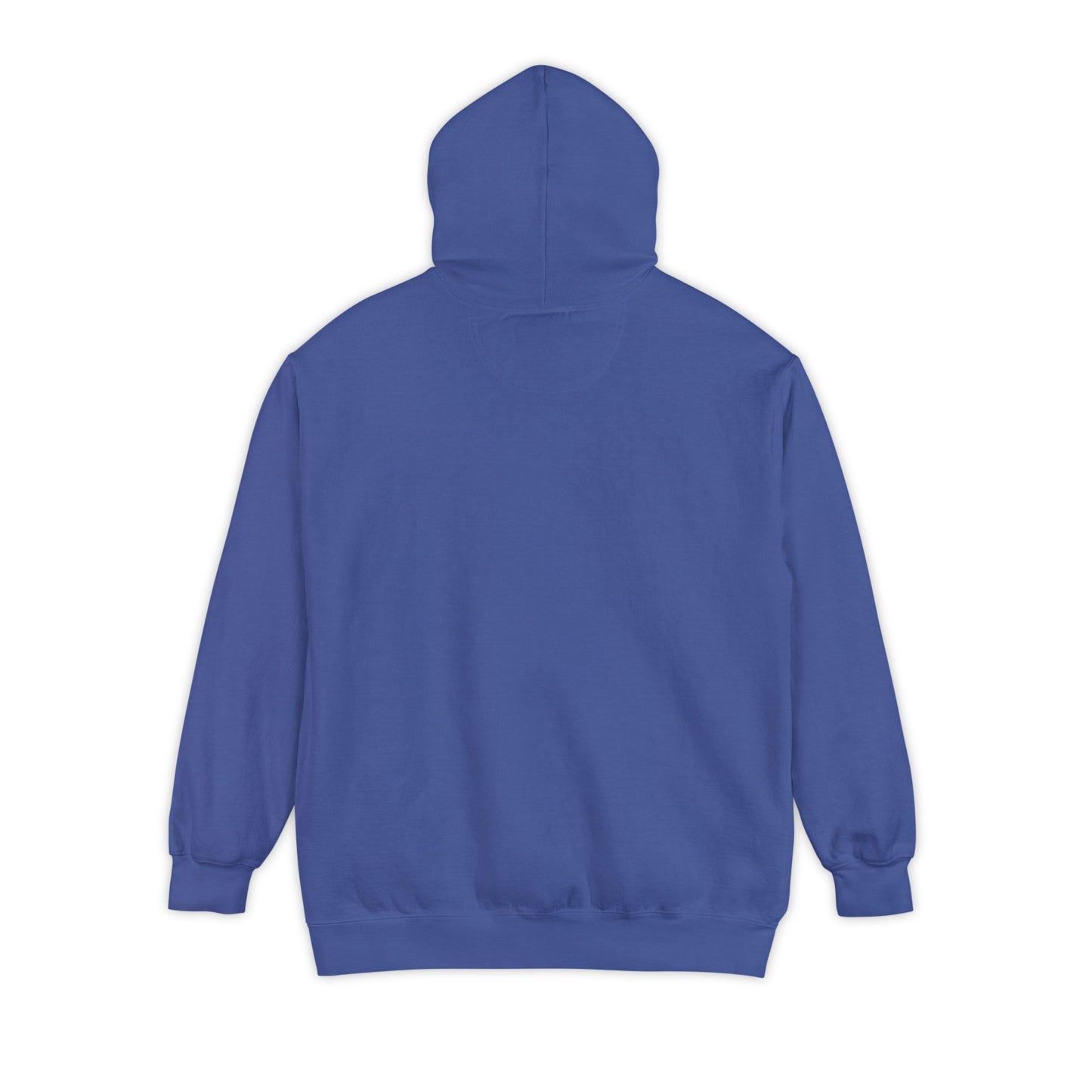Long Island New York Graphic Hoodie