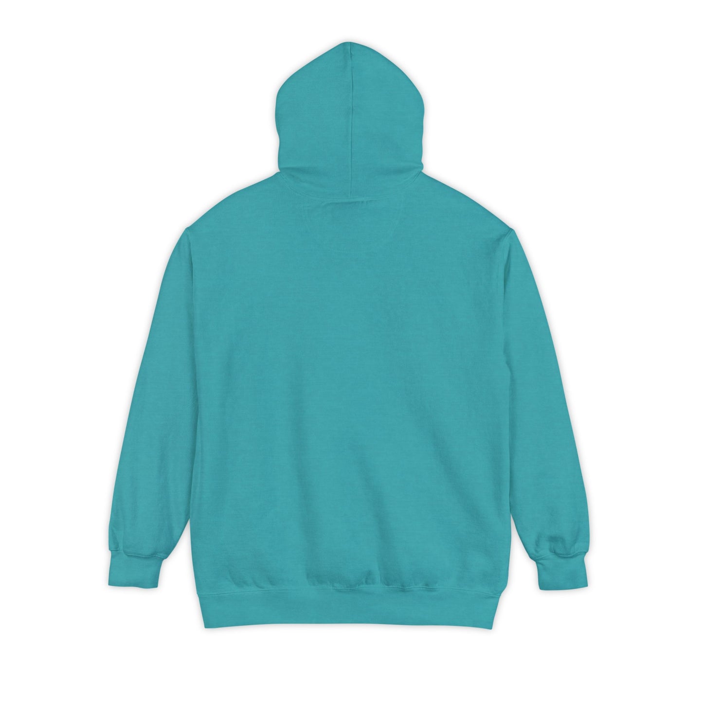 Long Island New York Graphic Hoodie