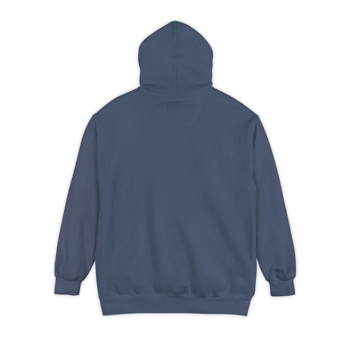 Long Island New York Graphic Hoodie