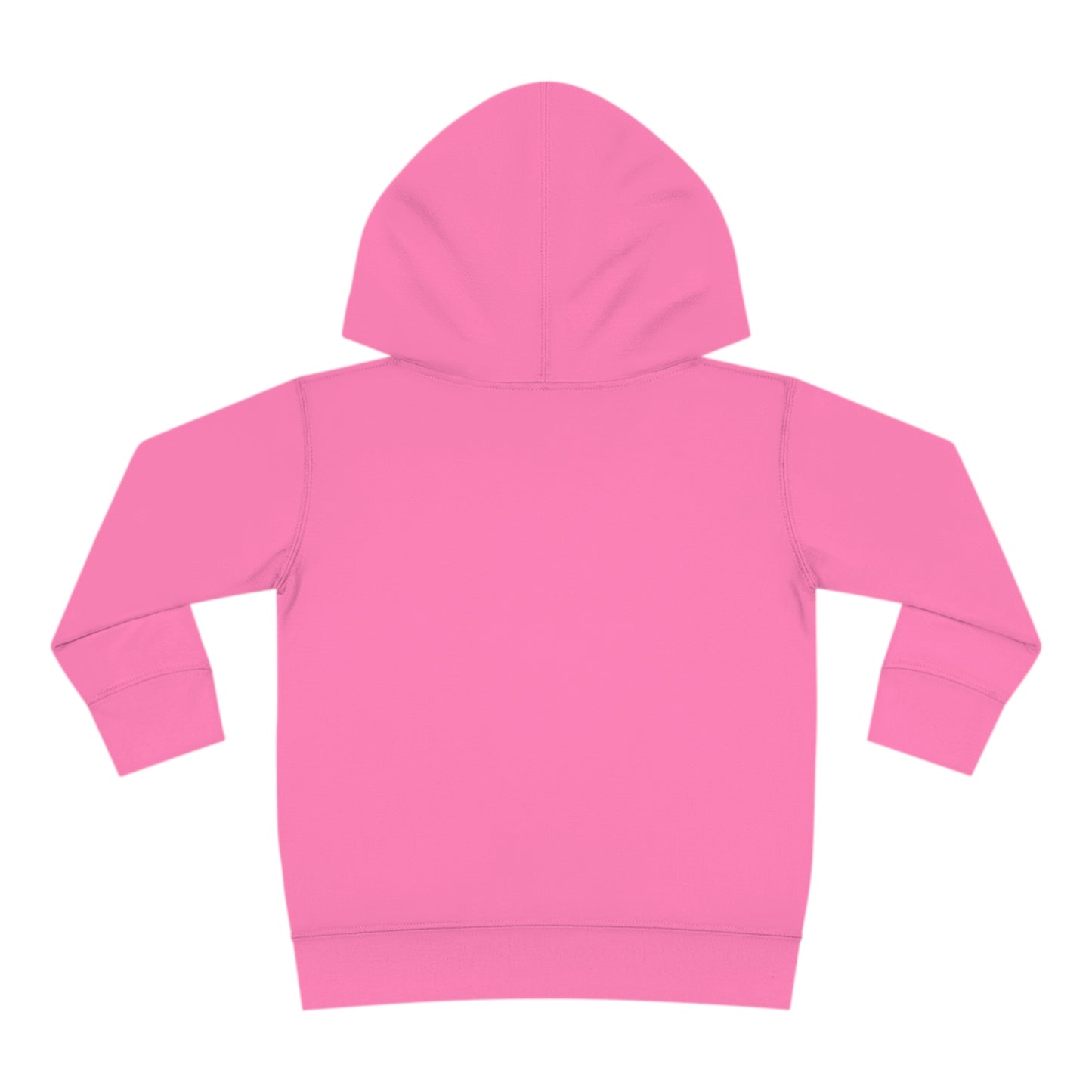 Long Island Toddler Hoodie