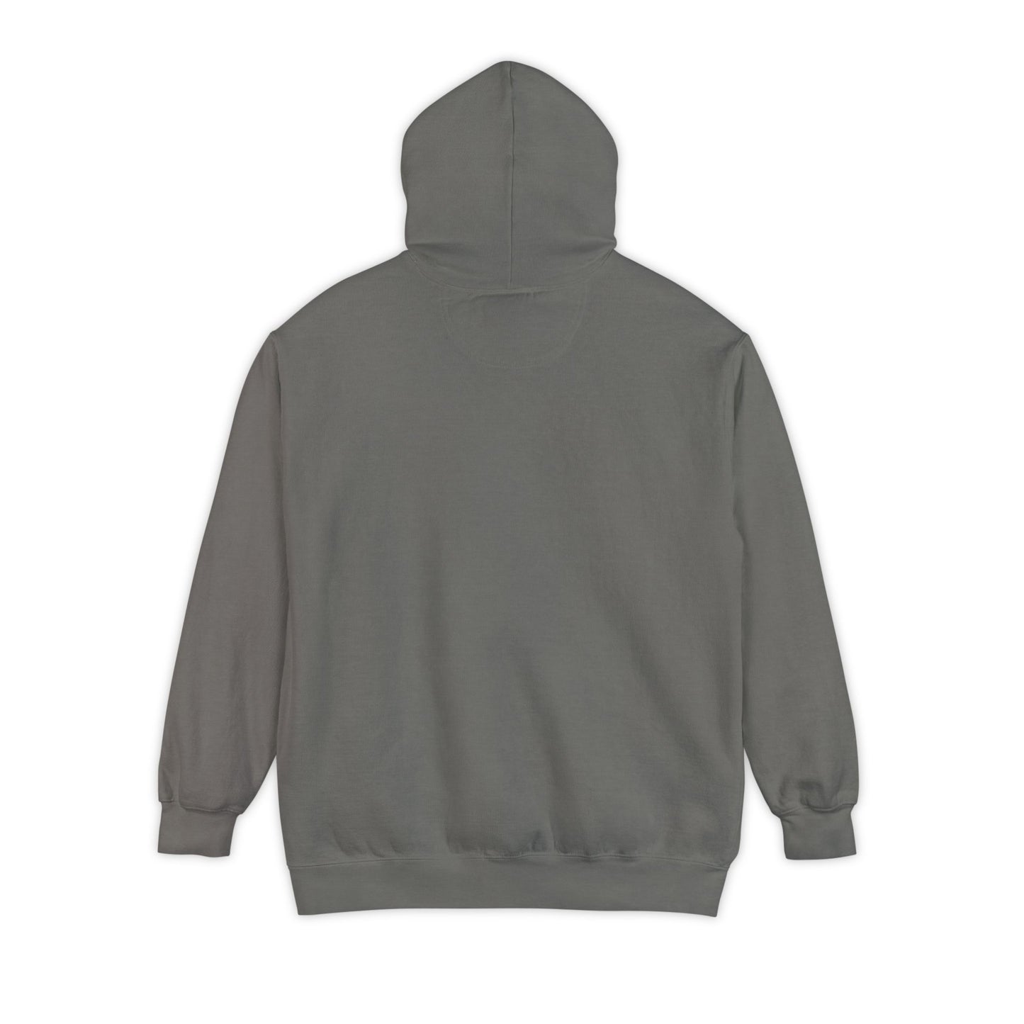 Long Island New York Graphic Hoodie