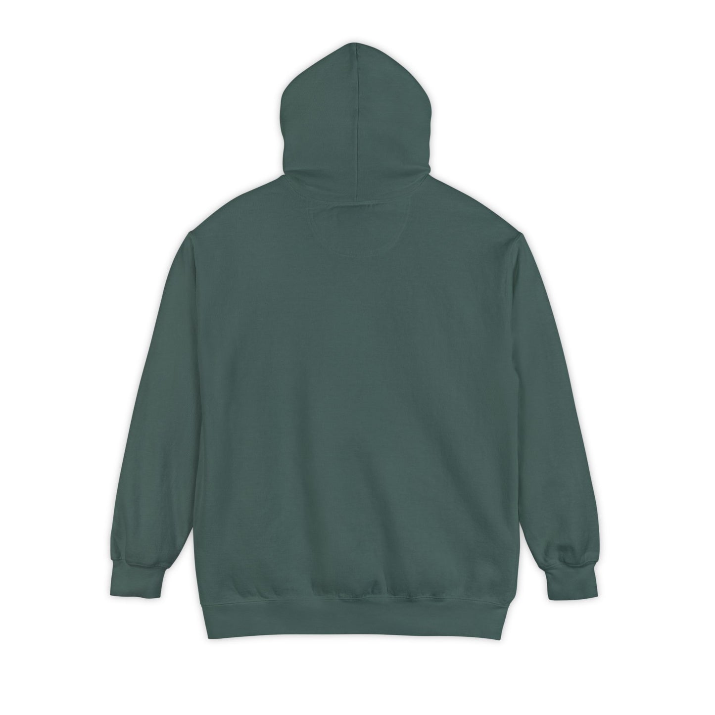 Long Island New York Graphic Hoodie